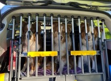 dog tailgate for sale dog tailgate for sale DERBY
