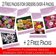 Flowers seeds flowering for sale  SHEERNESS