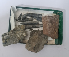 Fossils rock specimens for sale  WARWICK