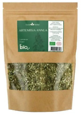 Artemisia annua 70g d'occasion  Le Perreux-sur-Marne