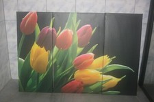 Bild dreiteilig blumen gebraucht kaufen  Beverungen