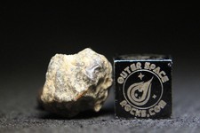 Lunar meteorite bechar for sale  Cape Coral