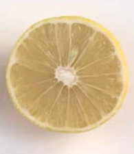 Citrus limettioides palestine usato  Napoli