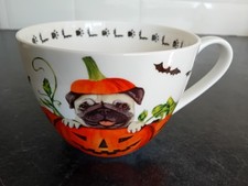 Portobello inspire pumpkin for sale  WADEBRIDGE
