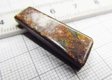 Ammolit ammolith alberta gebraucht kaufen  Immenhausen