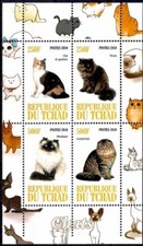Gatti animali pelo usato  Trambileno