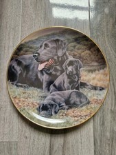 Father pride joy for sale  OLDHAM