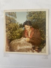 Elvis original photo for sale  BRIGHTON
