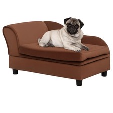 Luxury fancy dog for sale  Roswell
