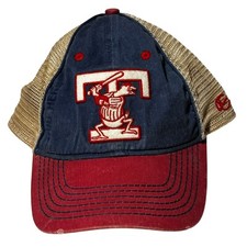 Toledo mud hens for sale  Ventura
