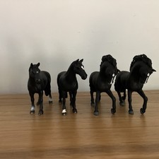 Set black gelding for sale  Siler City