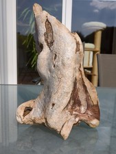 terrarium holz gebraucht kaufen terrarium holz gebraucht kaufen Büdelsdorf