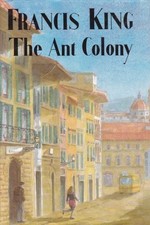 Ant colony king for sale  UK