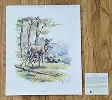 Lowell davis signed for sale  Baldwinsville