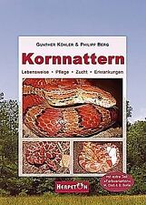 Kornnattern lebensweise pflege gebraucht kaufen  Berlin