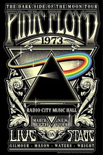 PÓSTER IMPRESIÓN FOTOGRÁFICA PINK FLOYD 12" X 18" segunda mano  Embacar hacia Mexico