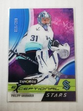 Philipp grubauer 2021 gebraucht kaufen  Plauen