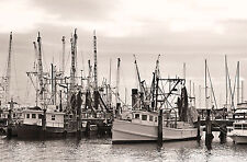 Metallic art photograph for sale  Mayville