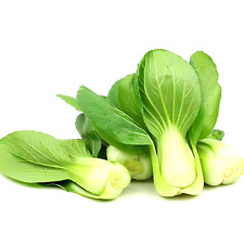 1200 pak choi for sale  Greenville