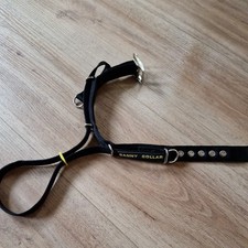 Canny collar halsband gebraucht kaufen  Kirchlengern