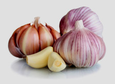 Garlic bulb fresh for sale  Memphis