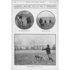 Coursing matches held for sale  GLASGOW