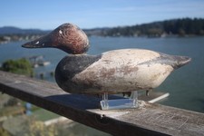 Canvasback drake decoy for sale  Lincoln City