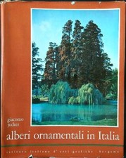 Alberi ornamentali italia usato  Italia
