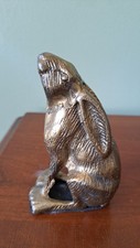 Rabbit moon gazing for sale  East Petersburg