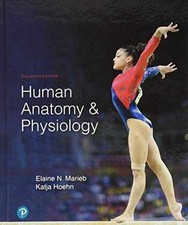 Human Anatomy & Physiology - Hardcover, by Marieb Elaine; Hoehn - Acceptable comprar usado  Enviando para Brazil