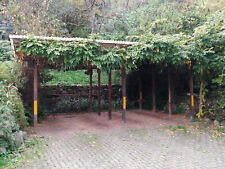 Doppelcarport holz gebraucht kaufen  Weisenbach