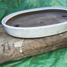 Bonsai ceramic pot for sale  BRISTOL