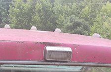 Chevy gmc truck for sale  London