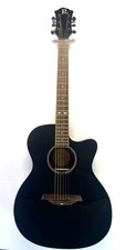 Rich bcr2bk acoustic for sale  Buffalo