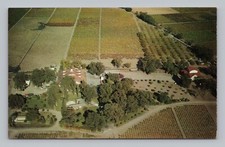 Cartão postal Charles Krug Winery Vineyards Napa Valley St. Helena Califórnia comprar usado  Enviando para Brazil