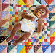 Adorable ashton drake for sale  Owasso
