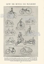 Bicycle progessed new for sale  WATERLOOVILLE