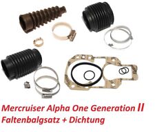 Service kit antrieb gebraucht kaufen  Saarbrücken