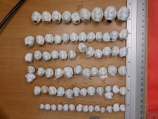 70 cabeças de boneca minúsculas antigas da Alemanha cabeça de porcelana congelada idade 1880,0,39-0,79 polegadas comprar usado  Enviando para Brazil