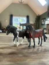 Collector dartmoor ponies for sale  NEWCASTLE UPON TYNE