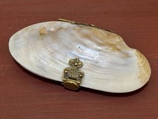 Teichmuschel als geldbörse gebraucht kaufen  Görlitz