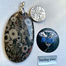 Fossilised crinoid large for sale  RUGBY