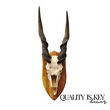 Vintage african eland for sale  Philadelphia