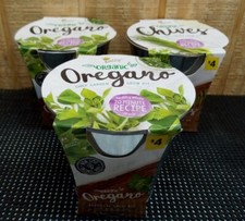 Buzzy organic chef for sale  Tazewell