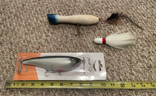 striped bass for sale  New Haven