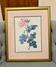Vintage botanical print for sale  Brooklyn