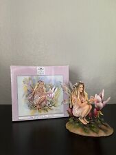 Christine haworth faerie for sale  Atascadero