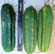 Lot andes peru for sale  San Pedro