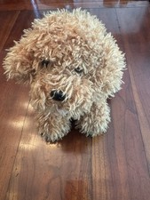 Labradoodle puppy dog for sale  Jacksonville