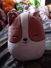 Squishmallows regina corgi for sale  BOLTON
